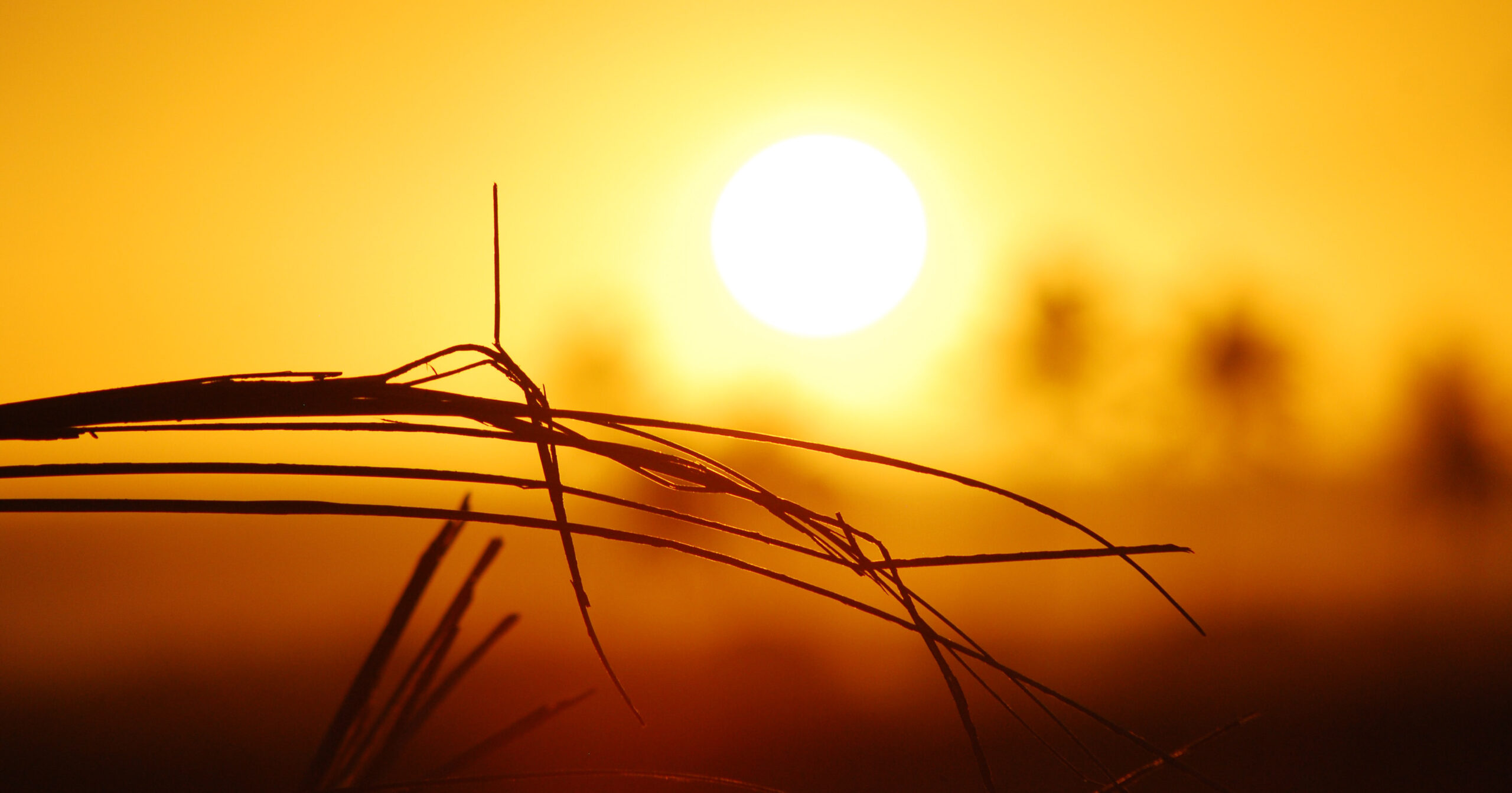 Notícia-quente:-Brasil-enfrentará-onda-de-calor-avassaladora.-07-21-09-23