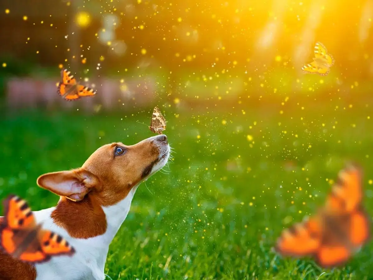 Dia 22 de dezembro de 2024 – Energia do dia é 6