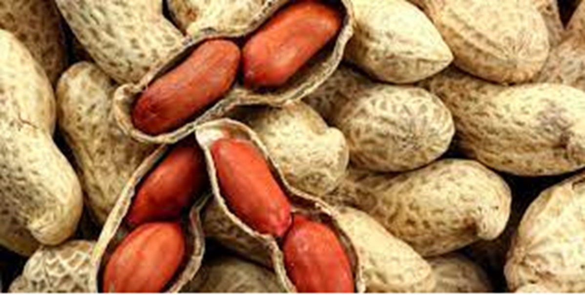 Conheça o grão que pode reduzir e combater a depressão