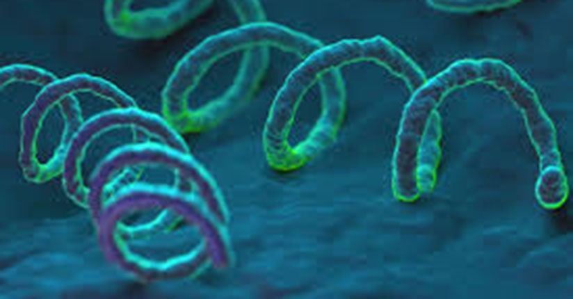 Saúde desenvolve ações de enfrentamento da sífilis e ISTs