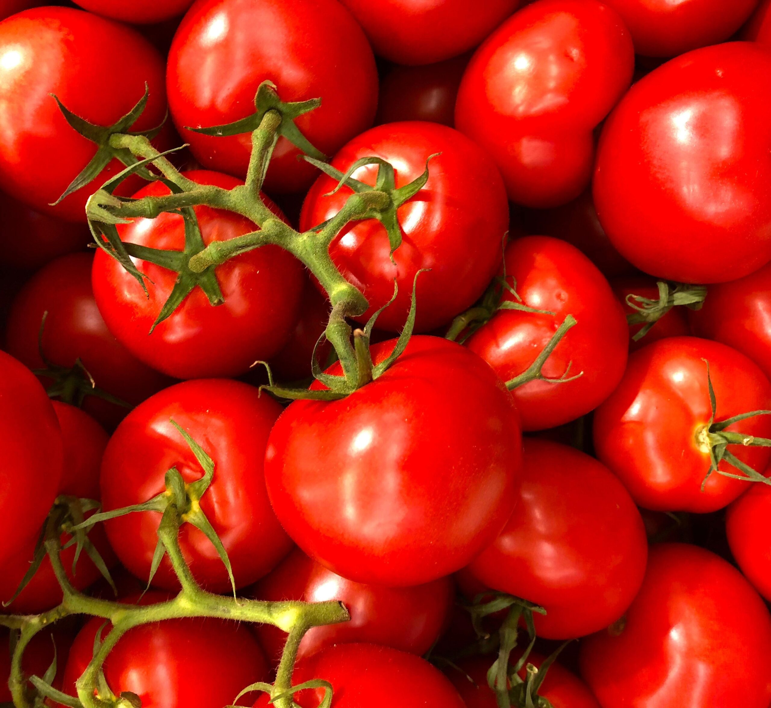 Invista-nos-benefícios-oferecidos-pelo-tomate!-00-27-11-23