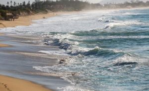 Com um mês para o verão, SC tem aumento no número de praias impróprias para banho