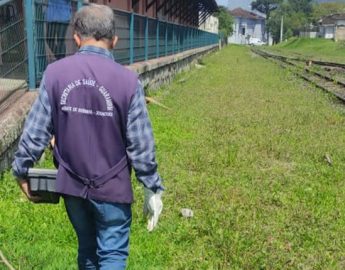 Profissionais de Zoonoses passam por formação sobre escorpiões