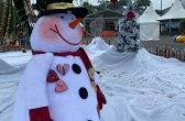 Mais uma semana de muitas atrações no Natal de Guaramirim