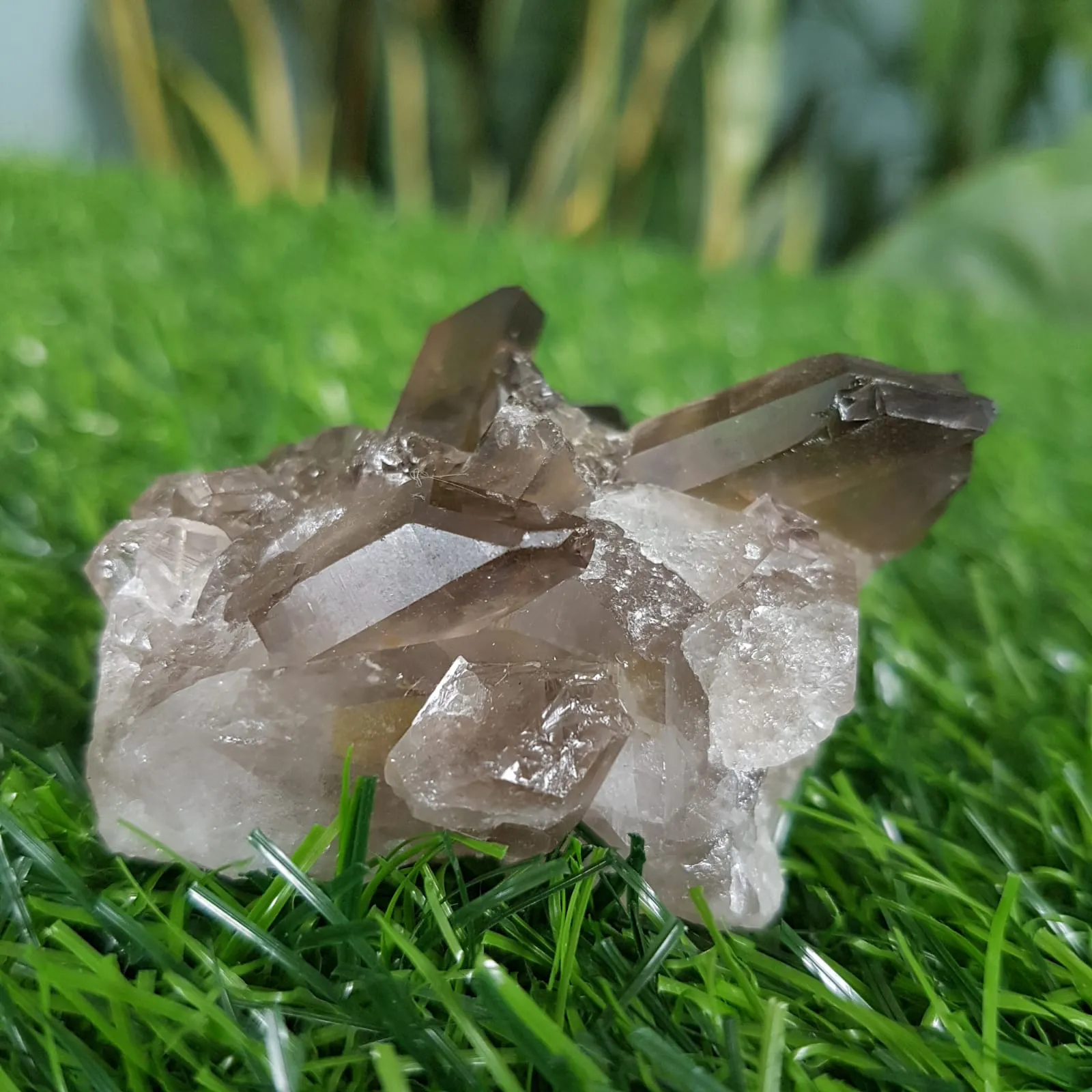 Qual cristal pode te ajudar na reta final deste fim de ano? Descubra