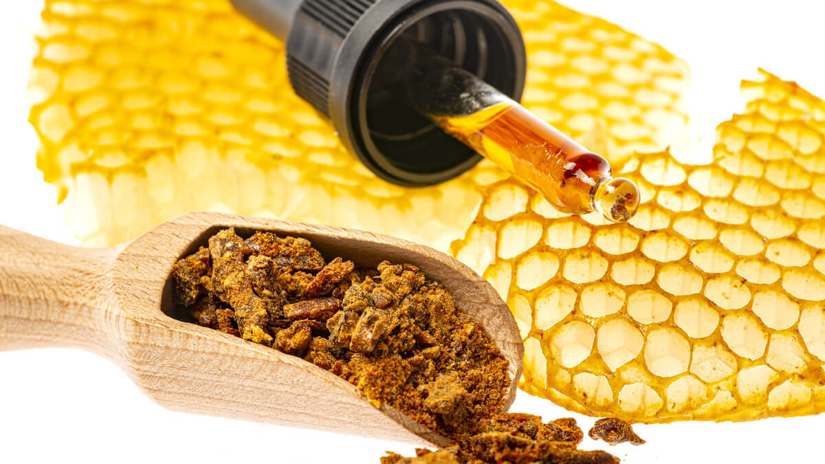Benefícios do própolis para sua saúde: saiba mais!