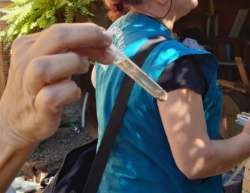 Verão: tempo de cuidado com a dengue