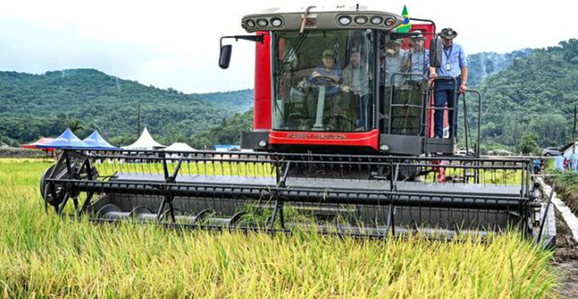 Preço do arroz ao produtor se manteve com bom valor na safra passada