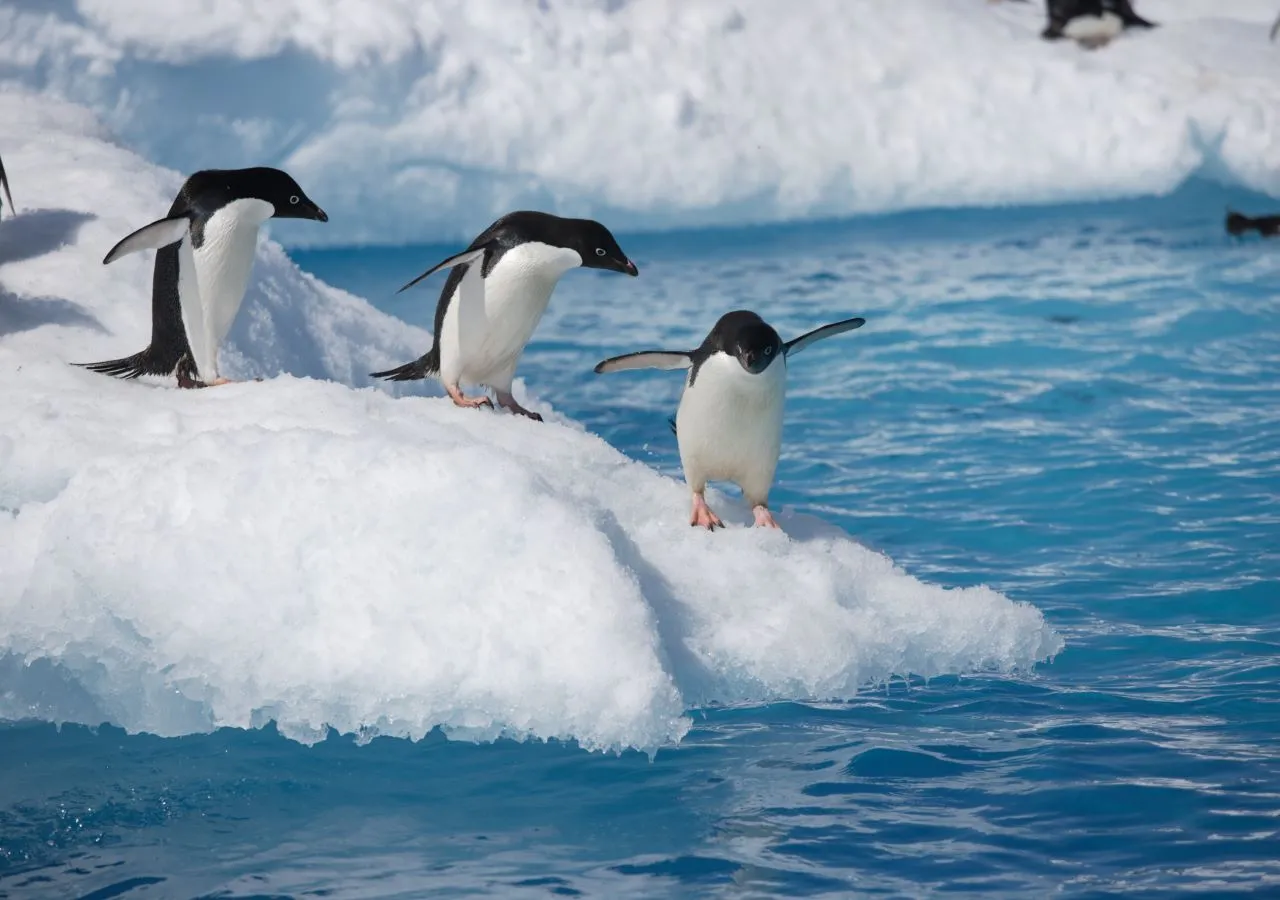 Descubra os 4 lugares mais gelados do mundo