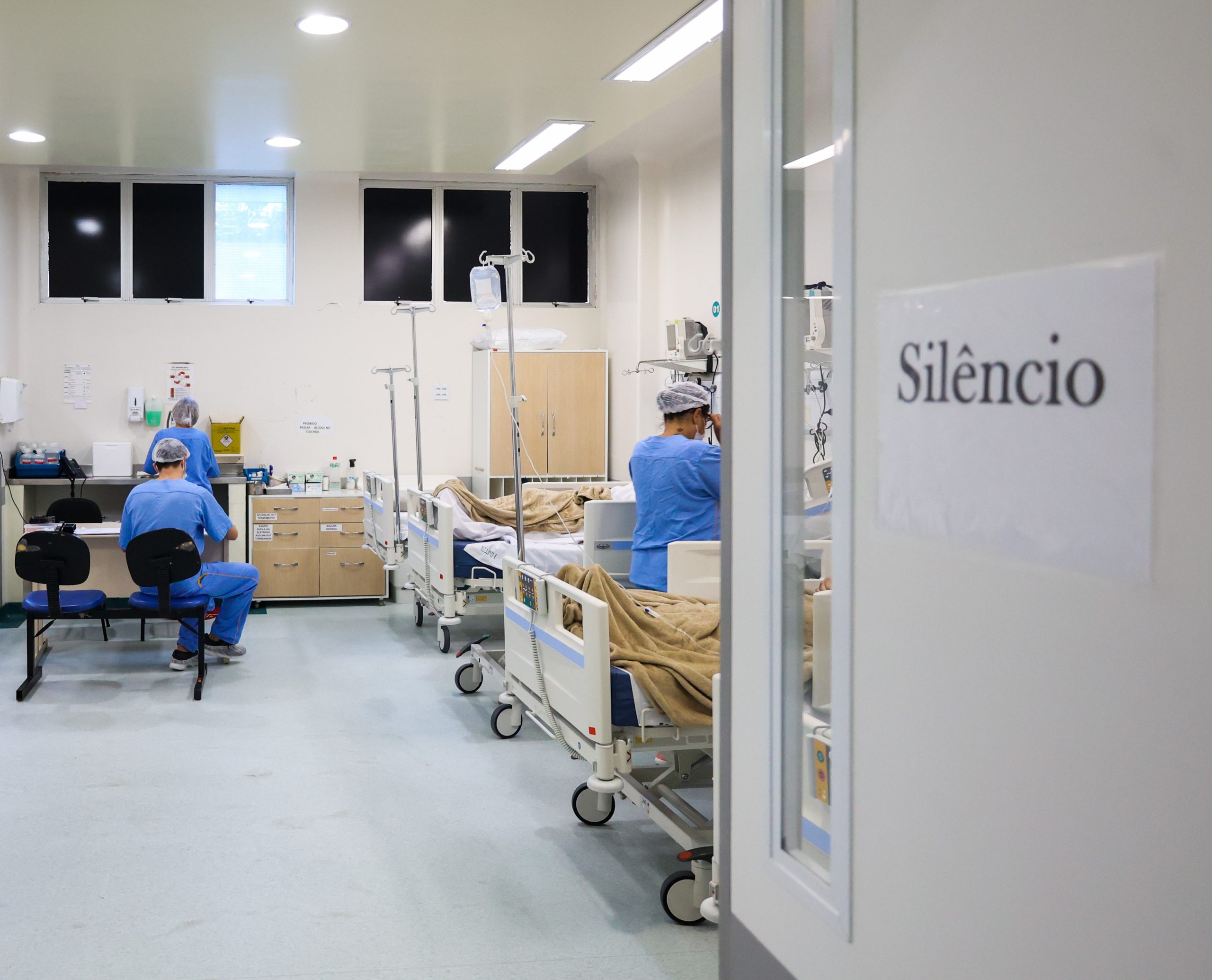 Aumento de casos de dengue gera preocupação em Santa Catarina com mais de 200 internações em 2024