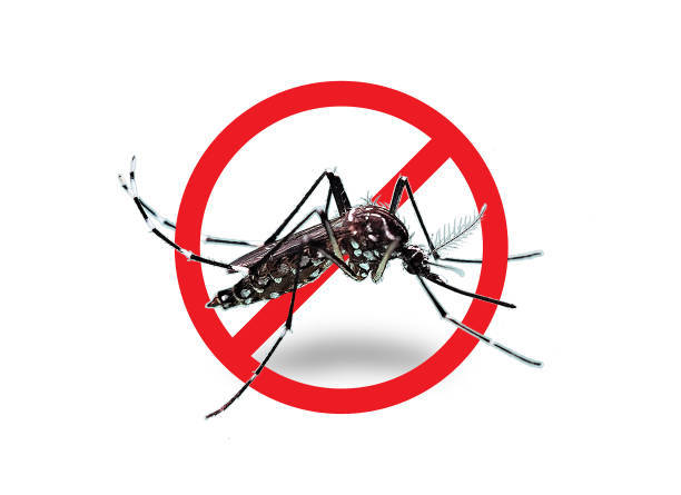 Boletim da dengue: 322 novos casos confirmados em menos de uma semana