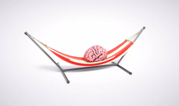 Metodologia e preguiça cerebral uma relação perigosa (11)