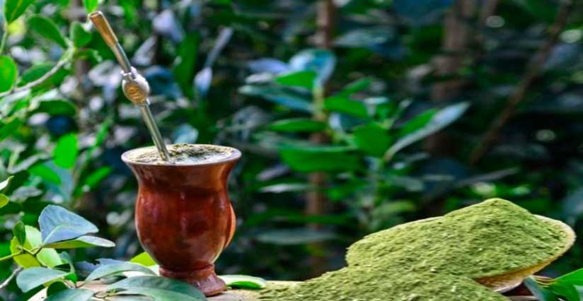 Acontecimentos da região e cotidiano