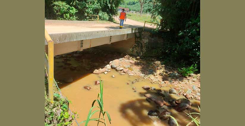 Agrotóxico pode ter causado mortandade de peixes em Corupá