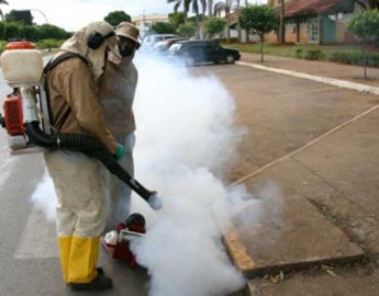 Combate à dengue: Fumacê começa sábado no Água Verde para eliminar mosquitos