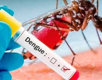 Dengue: mais de 200 pacientes foram internados este ano