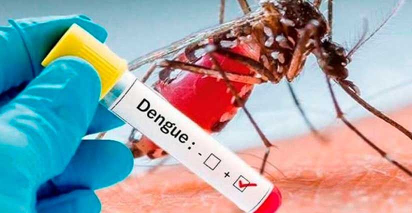 Confirmado 5º óbito relacionado à dengue em Jaraguá do Sul