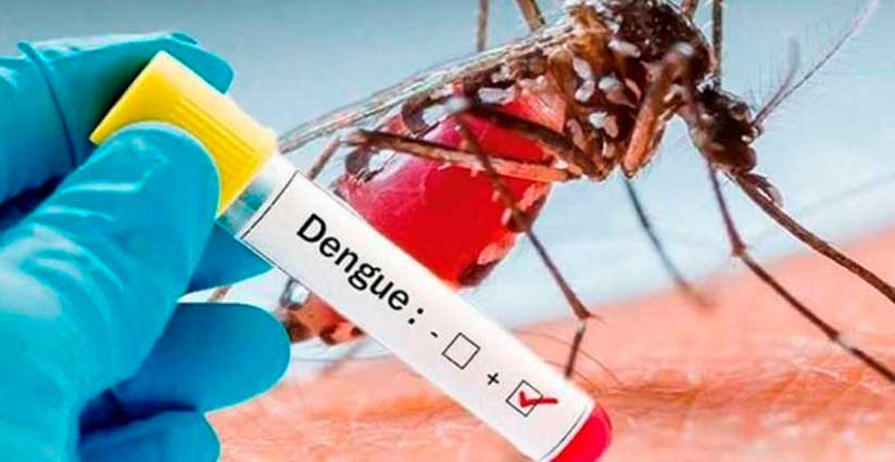 dengue