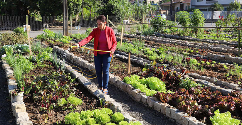 Voltolini avalia como positivas ações ao produtor rural no ano passado