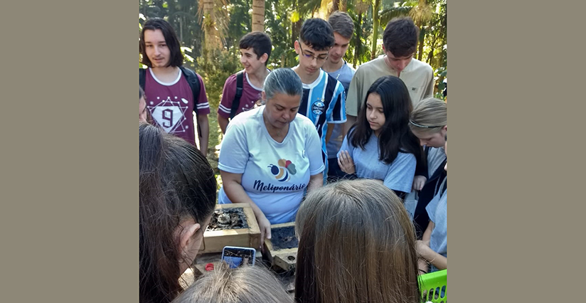 Projeto sobre abelhas nativas rende reconhecimento do FNDE para escola 