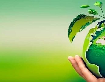 Sustentabilidade: inovações verdes e seu impacto no planeta