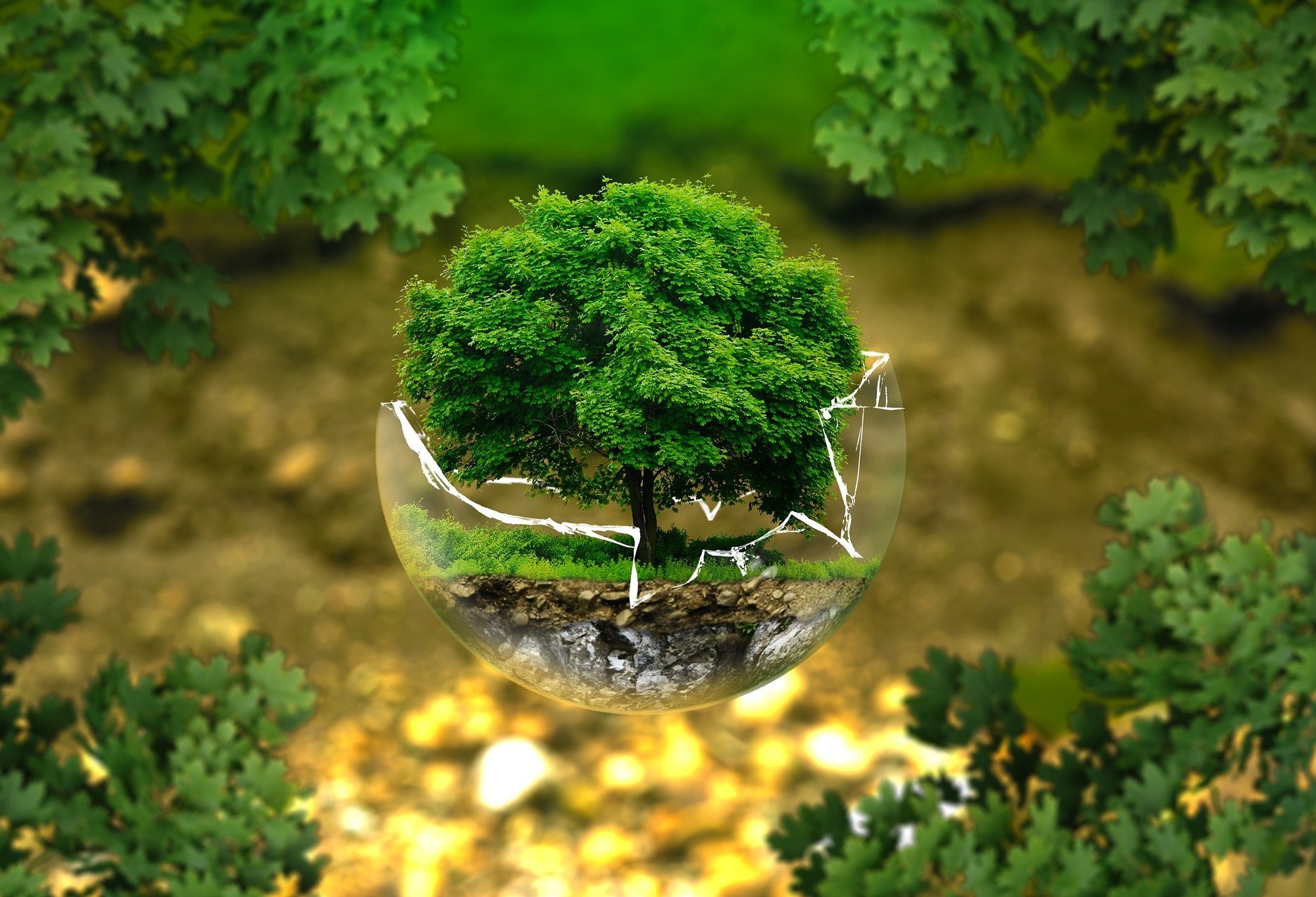 Impacto ambiental: como reduzi-lo no dia a dia