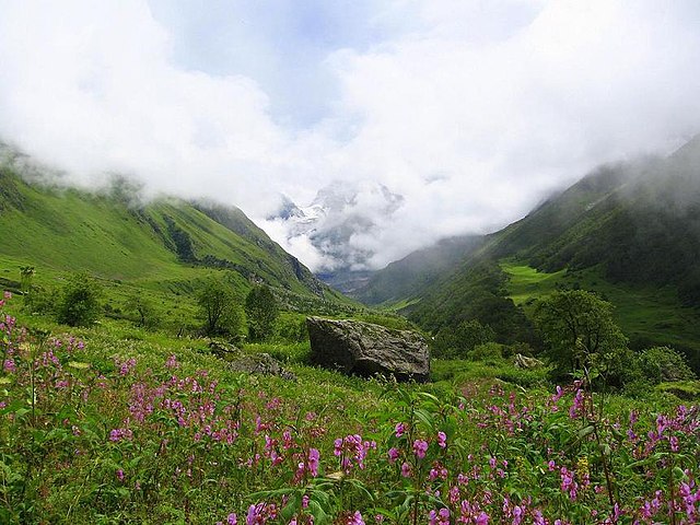 3. Vale das Flores, Índia: