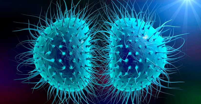 Grave doença bacteriana atinge duas crianças de escola particular em Itajaí