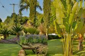 Jardim mais bonito: Concurso “Massaranduba + Encantadora” premiará três categorias