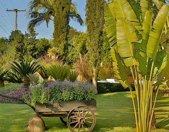 Jardim mais bonito: Concurso “Massaranduba + Encantadora” premiará três categorias