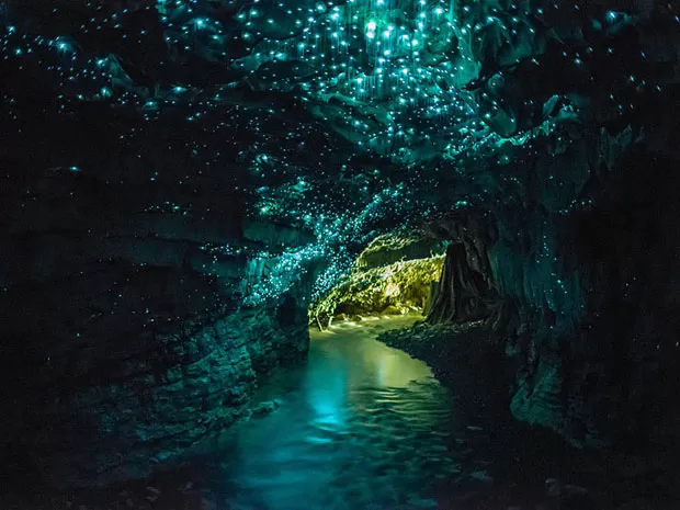 2. Cavernas de Glowworm, Nova Zelândia: