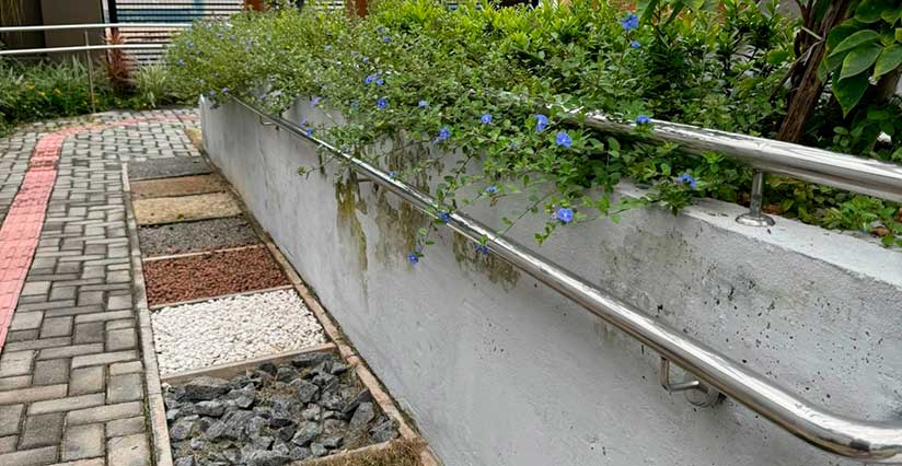 Apae inaugura nesta  quinta-feira o jardim sensorial