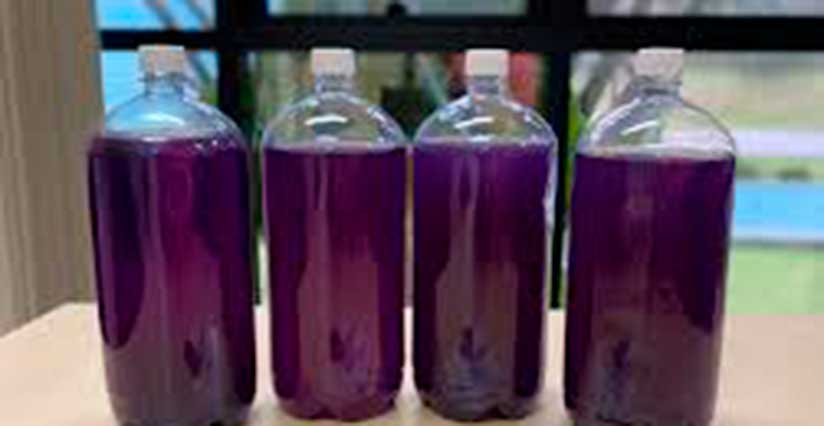 Maruim: Microrregião vai investir em pesquisas para combate