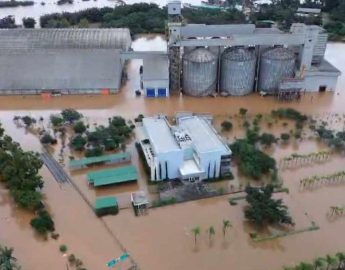 Rio Grande do Sul – Grãos começam a provocar explosão de silos