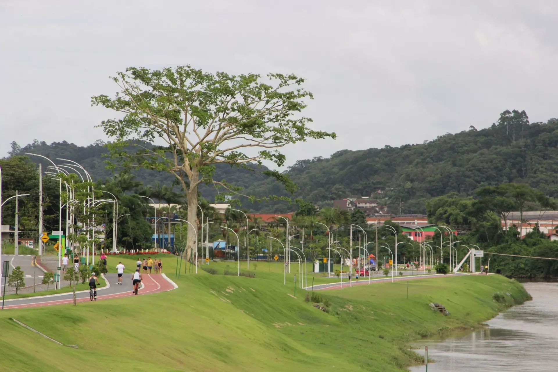 Conheça o parque que alaga de propósito para evitar estragos das enchentes em SC