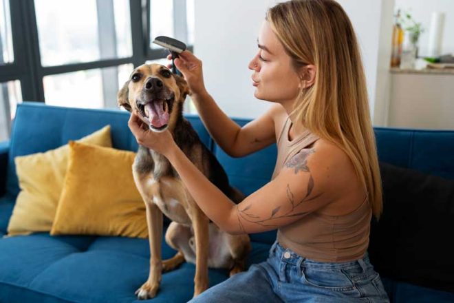 Quer tirar o cheiro de cachorro ou gato de sua casa?