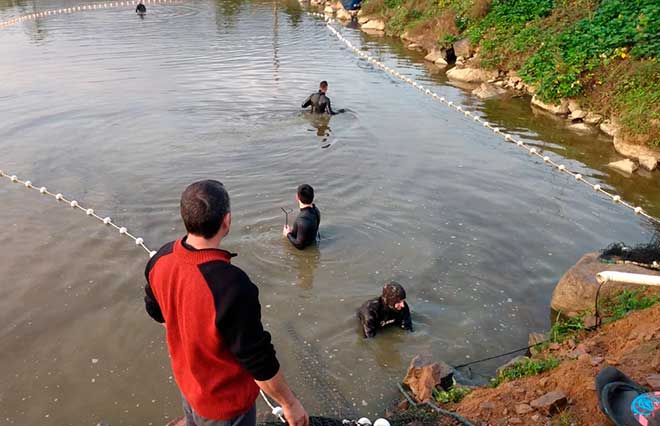 Senar/Faesc fará dia de campo dos grupos da ATeG em Guaramirim
