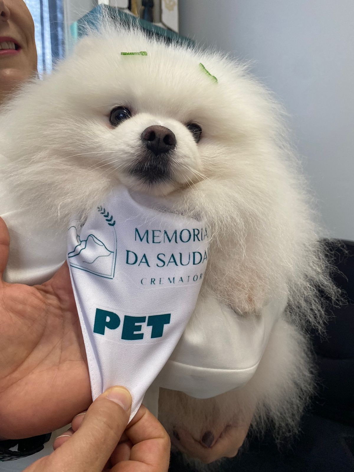pet