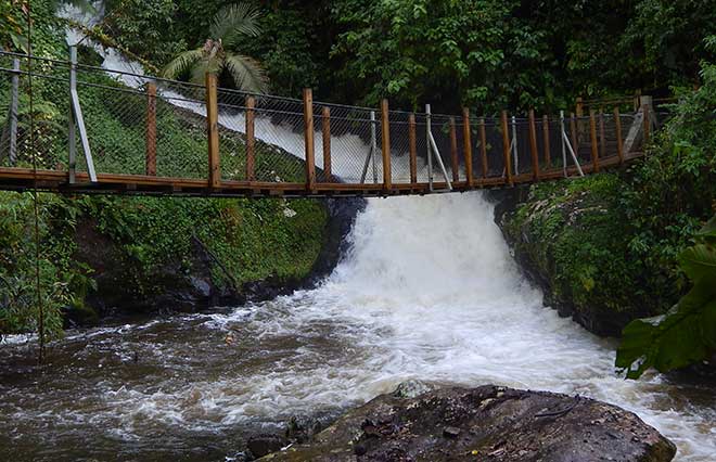 corupá
