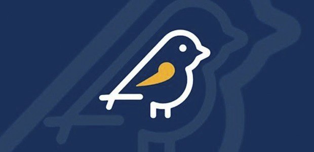 Campanha eleitoral: mais de 4 Mil denúncias já foram registradas no Aplicativo Pardal