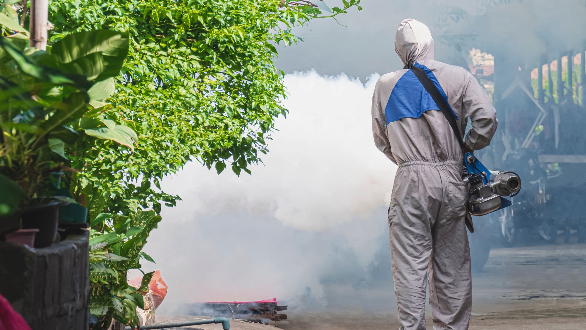 Santa Catarina intensifica ações de combate à dengue em 2024