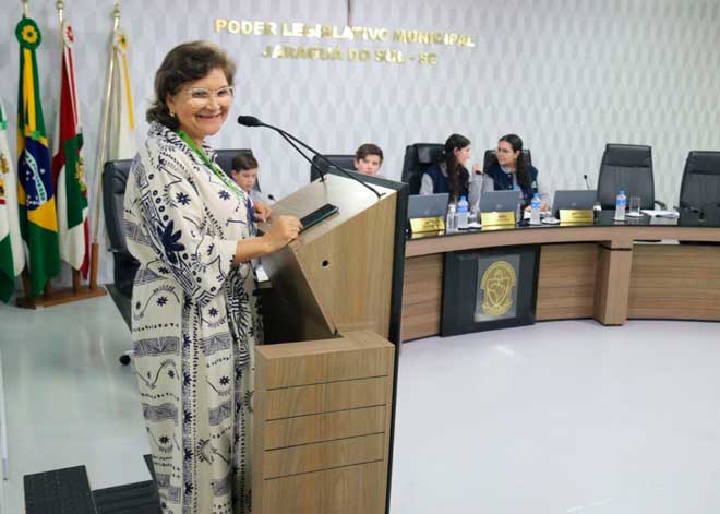 Atuação dos Conselhos Tutelares é explicada para a Câmara Mirim