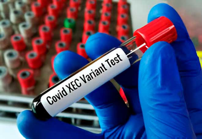 Confirmados dois casos da variante XEC da Covid 19 em Jaraguá do Sul