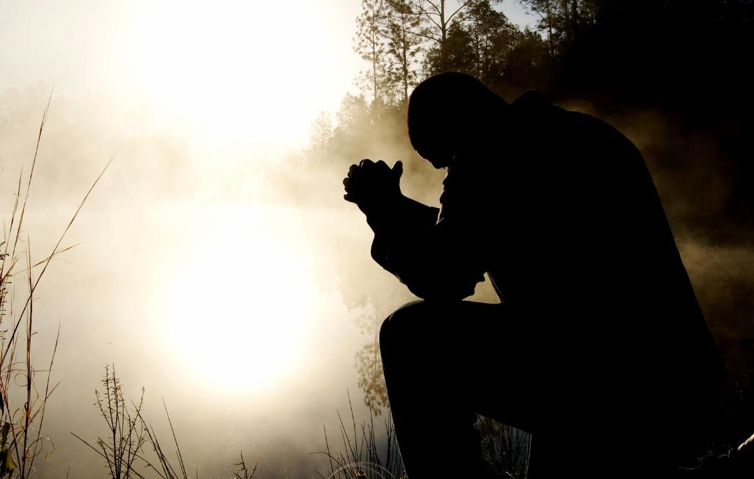 Dia 13 de novembro de 2024 – Energia do dia é 5