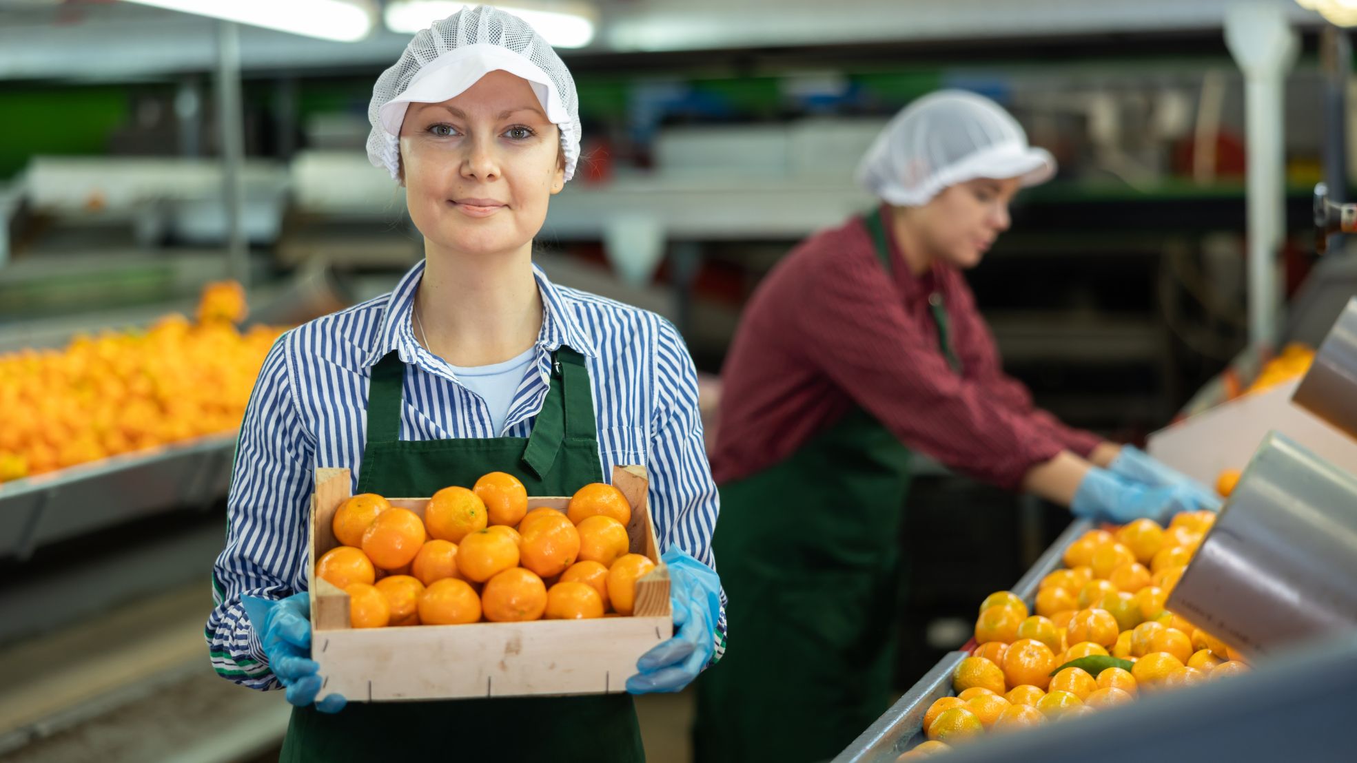 Brasil exportou 1 milhão e 94 mil toneladas em 2024; para onde vão as frutas brasileiras?