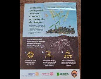 Campanha Distribui Sementes de Crotalária para Combater Mosquito da Dengue