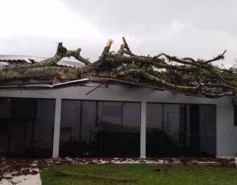Vento forte, chuva intensa e destruição: temporal causa caos em Corupá