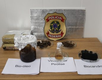 Polícia Federal quer transformar maconha apreendida em biocombustível