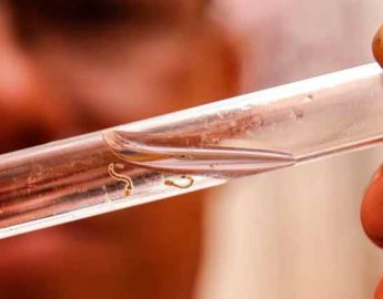 Casos de dengue aumentam em Guaramirim e Vigilância intensifica combate