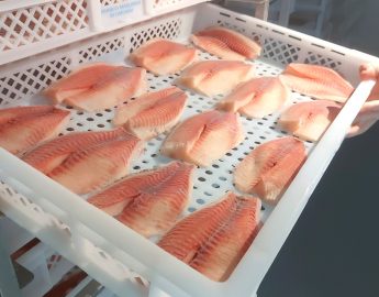 Venda de pescado no Parque de Eventos neste fim de semana